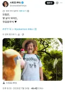 포켓몬의 곤충채집 소년 근황