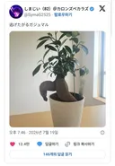 화분에서 도망치려던 순간 포착