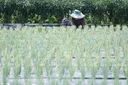 [속보] 경남 양산 38도…전남 광양 37.4도 ‘폭염중대경보’