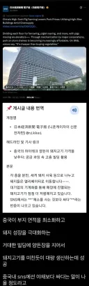 세계) 최대의 중국 돼지 공장 ㄷㄷ.jpg