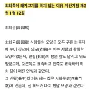 조선 사신이 들은 무슬림이 돼지안먹는 이유