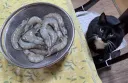 야옹이랑 술한잔 함