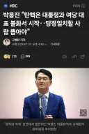 이분 탄핵을 뭐이리 잘알죠? 전문가인가요?