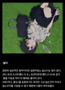 의외로 현대 일본어로 표현하기 힘든 말