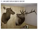 “개같은 년아 그러게 내가 그냥 집에 있자 했냐 안했냐!”
