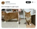 야 너 다리 짧은 거 소문 다 났다