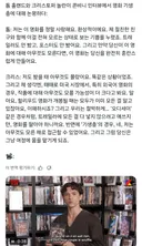영화 기생충 얘기하는 톰 홀랜드 & 크리스토퍼 놀란