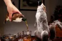 광기의 81만원짜리 맥주🍺