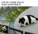 이력서에 거짓말 섞어서 작성했는데 취업 성공함.jpg