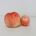 아아――, 네녀석의 동료? 옆에 있잖아ww