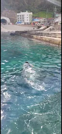 제주도 기본 경비