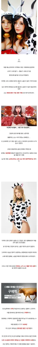 한반도의 소 멸종을 막은 인물