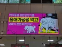 개한테 뭘먹이면