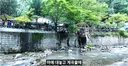 국유지 계곡, 아직도 여전히 꿀빠는 중
