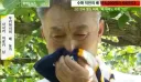 일본의 배 과수원 절도 사건 이후로 벌어지고 있는 일
