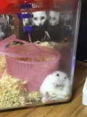 익숙한 공포의 구도