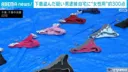 일본에서 여자 팬티. 브라 수집남 체포