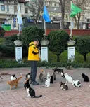 튀르키예 사람들 진짜 무슨 동네마다 고양이 집사가 몇 백 명씩 있는 느낌..