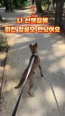 미친 청설모를 만났어요