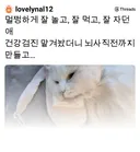노견 노묘 건강검진 받다가 사망하는 경우 은근 있나봐..