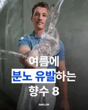 [펌] 여름에 분노 유발하는 향수 8가지