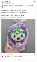 영동 포도축제 포포인형 포장 패키지 상태