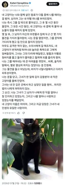 내 고양이는 나와 함께 살던 파트너가 다툼 중에 나를 때리는걸 봤어.twt