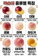 복숭아 종류별 특징