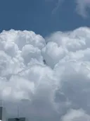이런거 진짜 은근 보기 힘들어...
