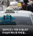 강아지 안고 택시 타면 안됩니다..