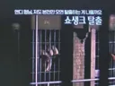 주식 물린듯한 ocn 직원...