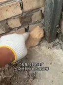 냥줍 1년간 기록