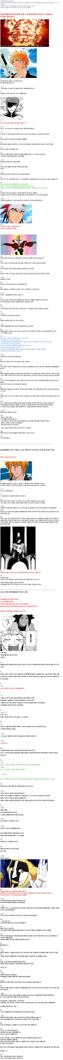 블리치 본편이후 정식 사신 교육 받는 이치고