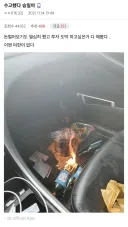 자살인증글에 달린 댓글 ㄹㅇ레전드