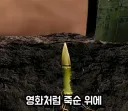 죽순 고문 레알인지 실험 해 봄