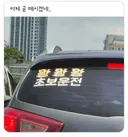 여시 왕왕왕 초보운전 x표시 다 쳐진거 처음봤어