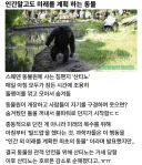 미래를 계획 하는 동물