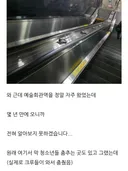더위 먹은 블로거.jpg