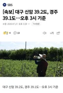 [날씨] 대구 신암 39.2도, 경주 39.1도..오후 3시 기준