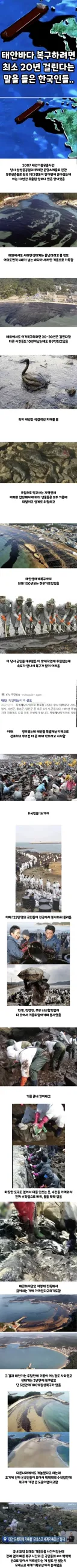 한국인들아 너희 그거 복구하는 데 20년 걸린다