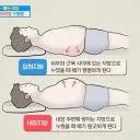 피하지방과 내장지방 구분법