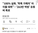 젠레스) 엽빛나 학폭 논란 ㄷㄷ