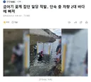 금어기 꽃게 잡던 일당 적발.. 단속 중 차량 2대 바다에 빠져
