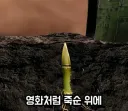 죽순 고문에 대해 알아보자