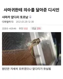 사마귀에게 의수를 달아준 디시인.JPG