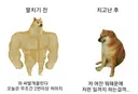 야동에서 딸뻘 되는 예쁜 여배우들랑 촬영하던 아저씨가 급현타온거 본 적 있었는데