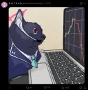 블루아카) 에모코싸인 ㅋㅋㅋㅋㅋㅋㅋㅋㅋㅋㅋㅋ