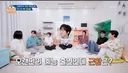 요즘 개구리와 도마뱀을 키우고 있다는 한가인-연정훈