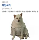 저러니 이혼 당했지 ㅉㅉㅉ