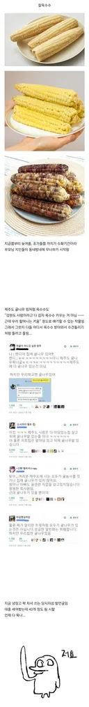 현재 강원도 사는 사람들한테 쏟아져 들어오는 거.jpg